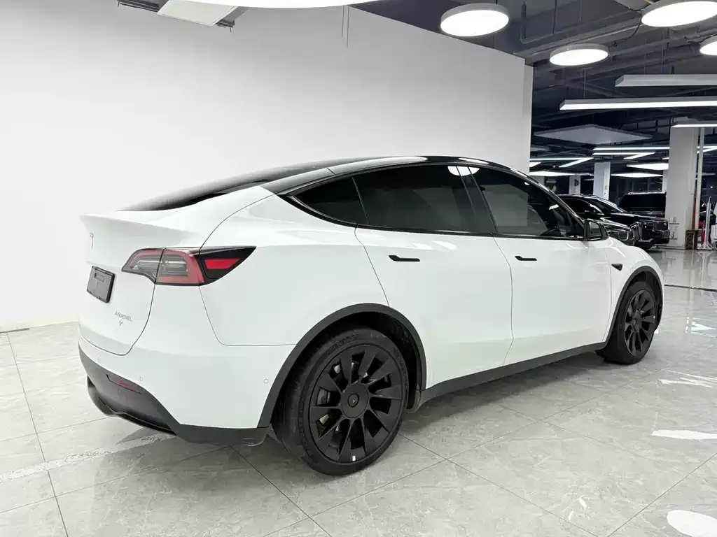 Tesla Model Y — фото 6