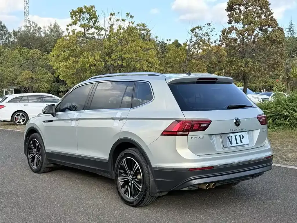 Volkswagen Tiguan L 2021 из CN, фото 6
