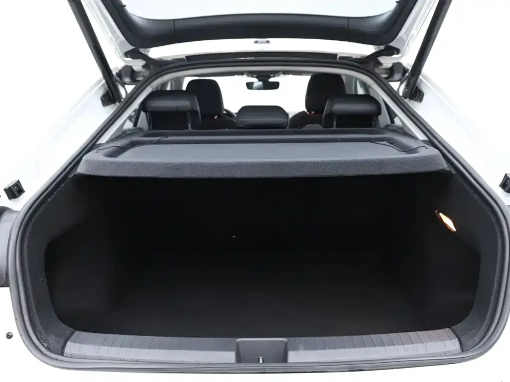 Volkswagen Lamando 2024 из CN, фото 8