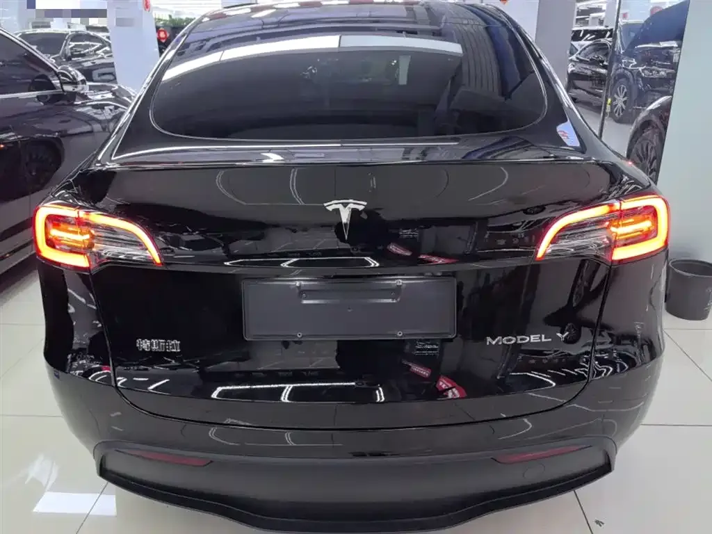 Tesla Model Y — фото 6