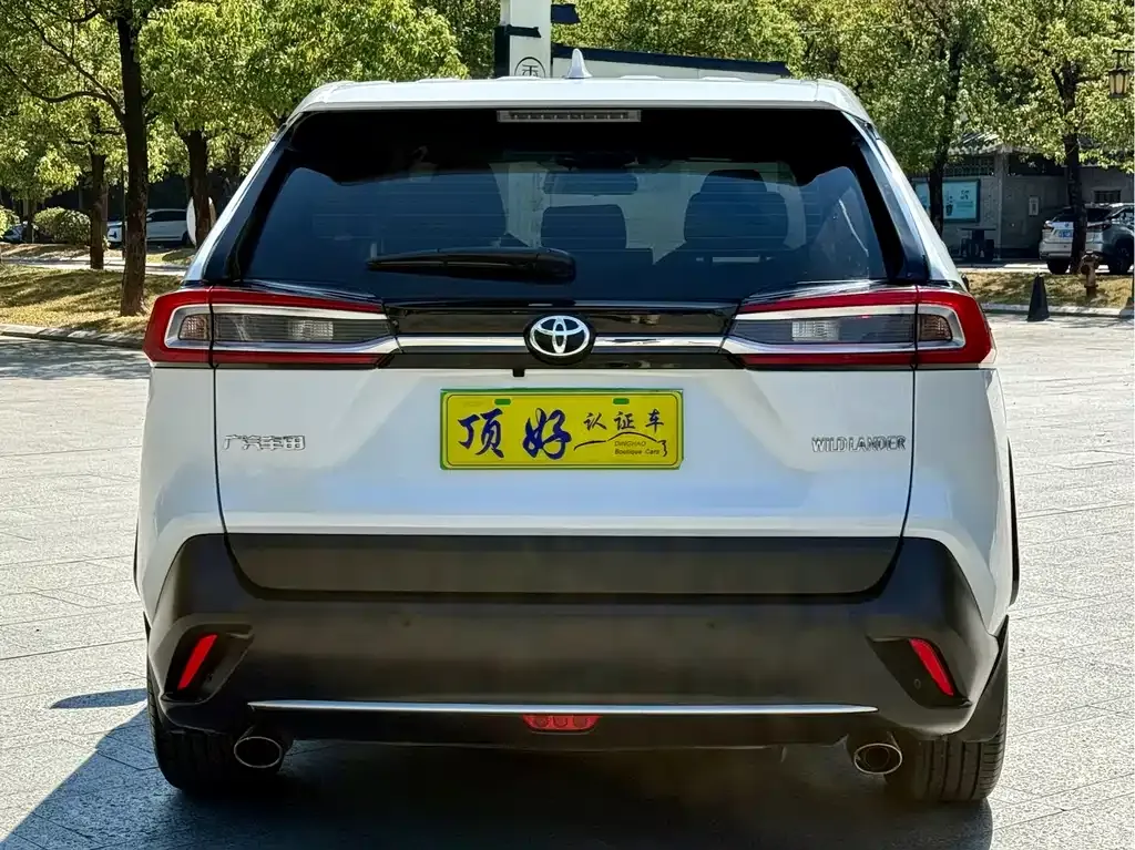 Toyota Wildlander 2022 из CN, фото 5