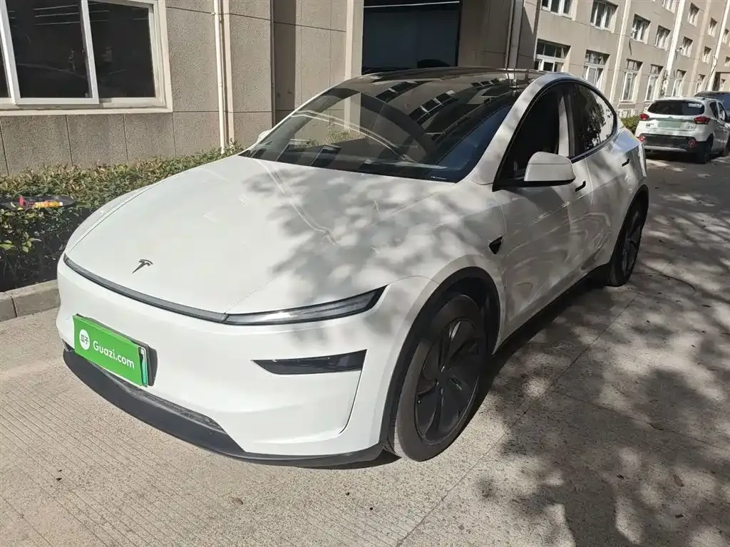 Tesla Model Y 2025 из CN, фото 2
