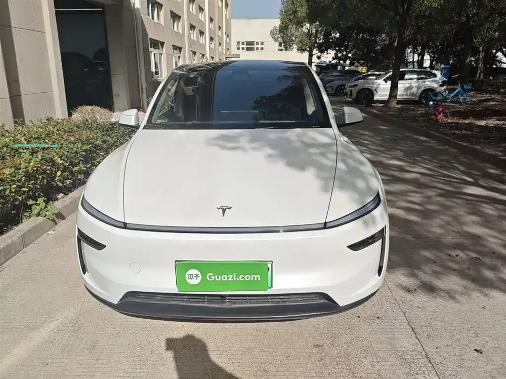 Tesla Model Y 2025 из CN, фото 3