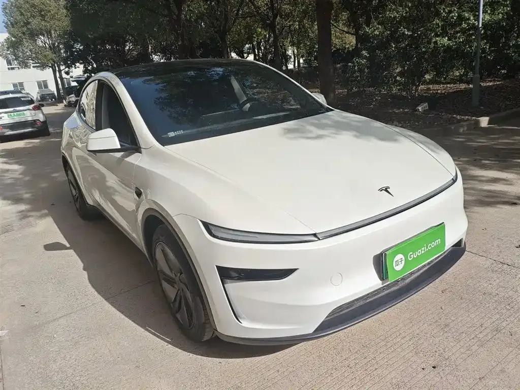 Tesla Model Y 2025 из CN, фото 4