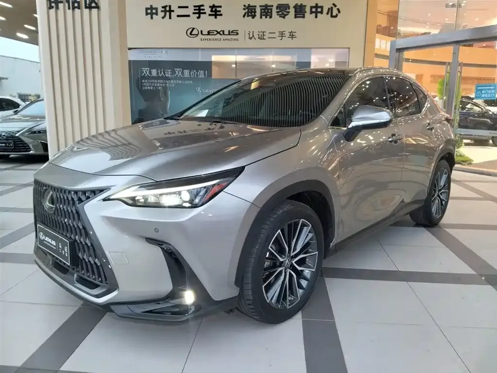 Lexus NX 2022 из CN, фото 1
