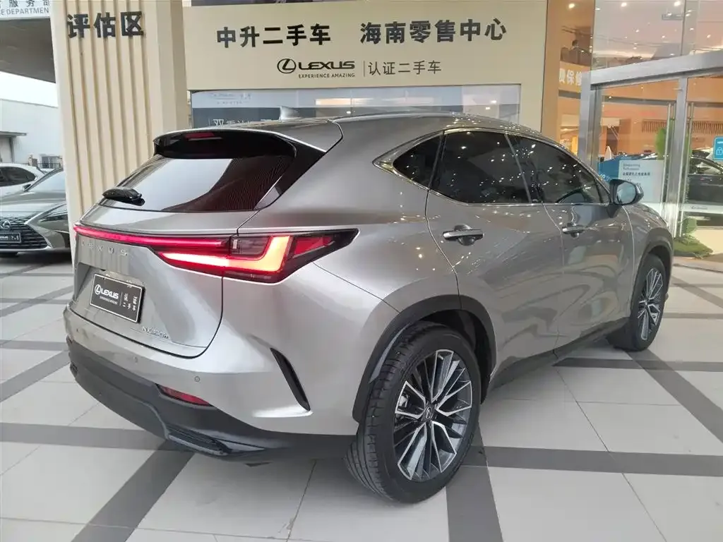 Lexus NX 2022 из CN, фото 10