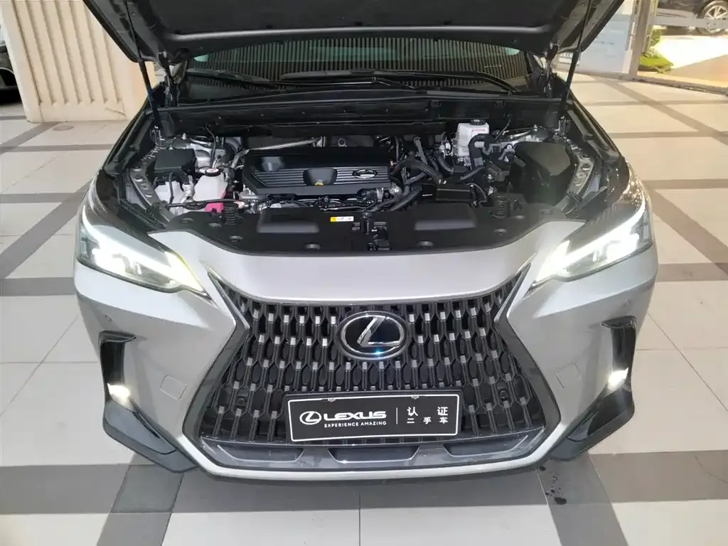 Lexus NX 2022 из CN, фото 3