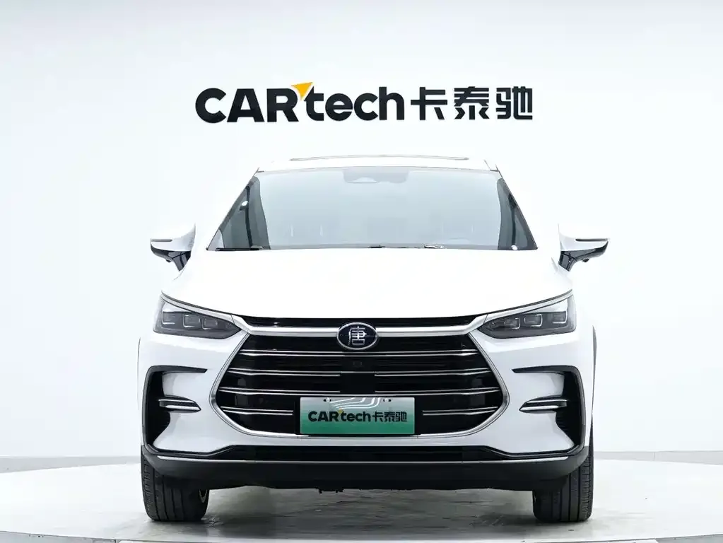 BYD Tang New Energy 2021 из CN, фото 6