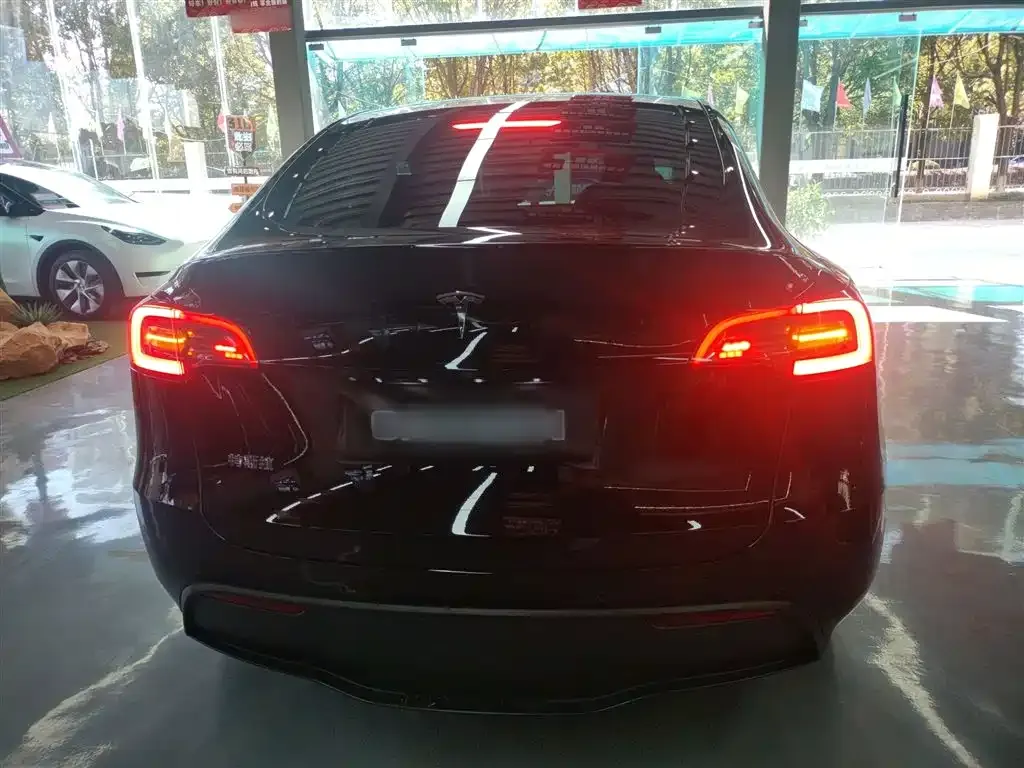 Tesla Model Y 2023 из CN, фото 6