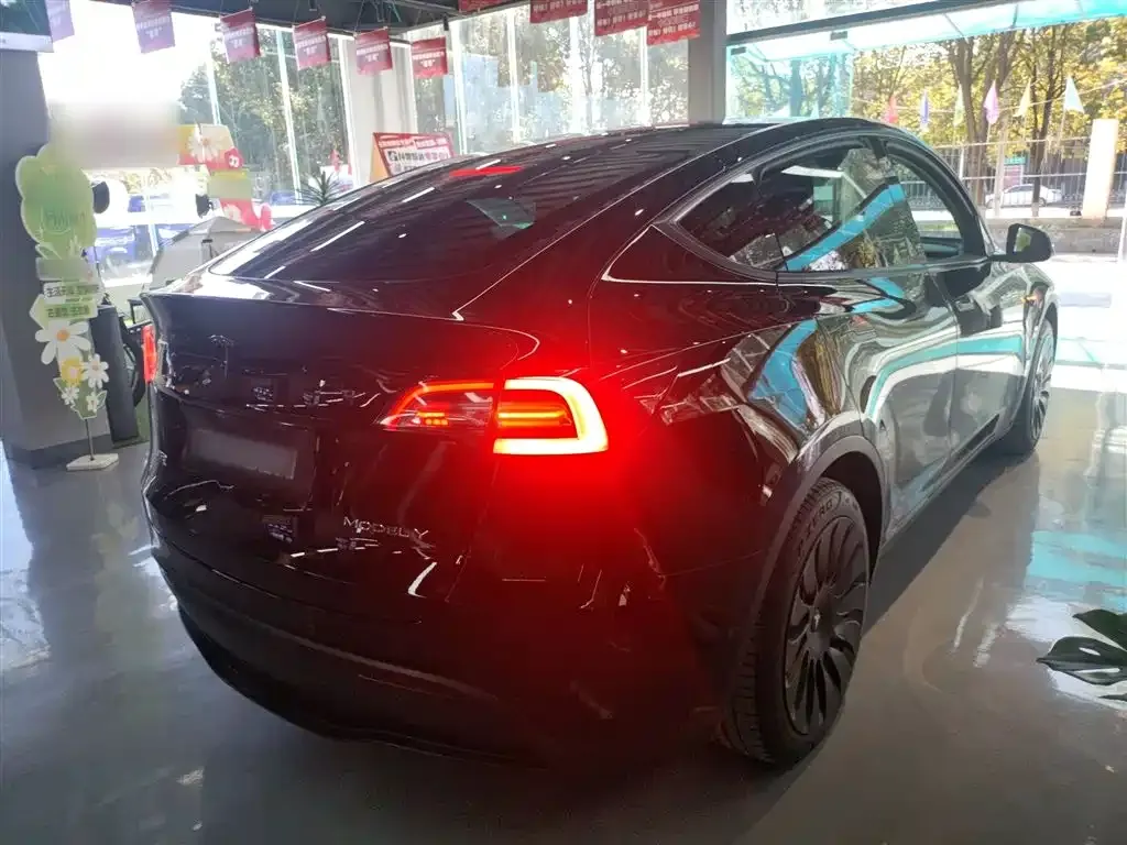 Tesla Model Y 2023 из CN, фото 7
