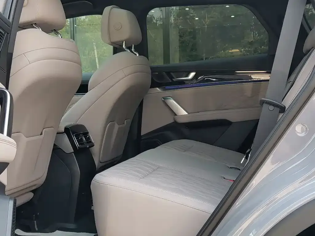 BYD Tang New Energy 2025 из CN, фото 6