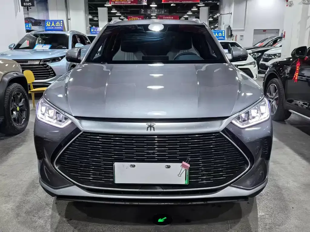 BYD PLUS New Energy 2023 из CN, фото 1