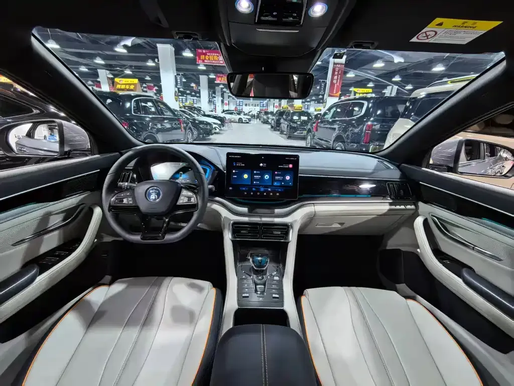 BYD PLUS New Energy 2023 из CN, фото 7