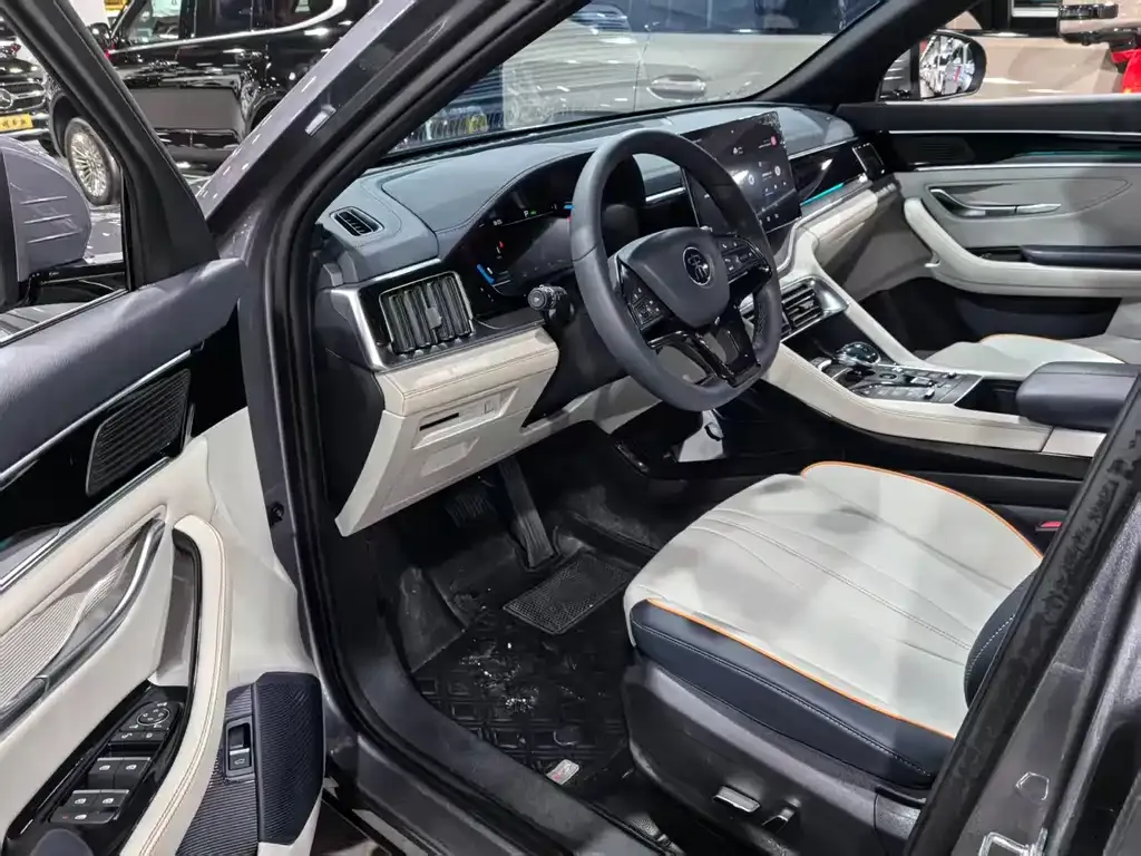BYD PLUS New Energy 2023 из CN, фото 8
