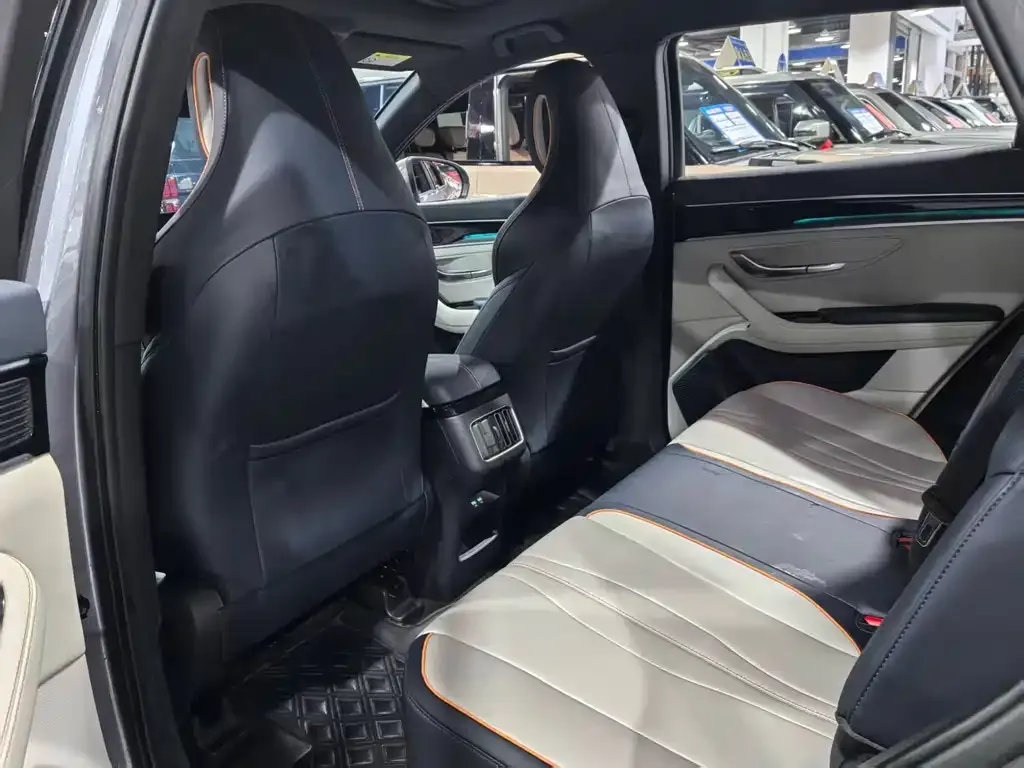 BYD PLUS New Energy 2023 из CN, фото 9