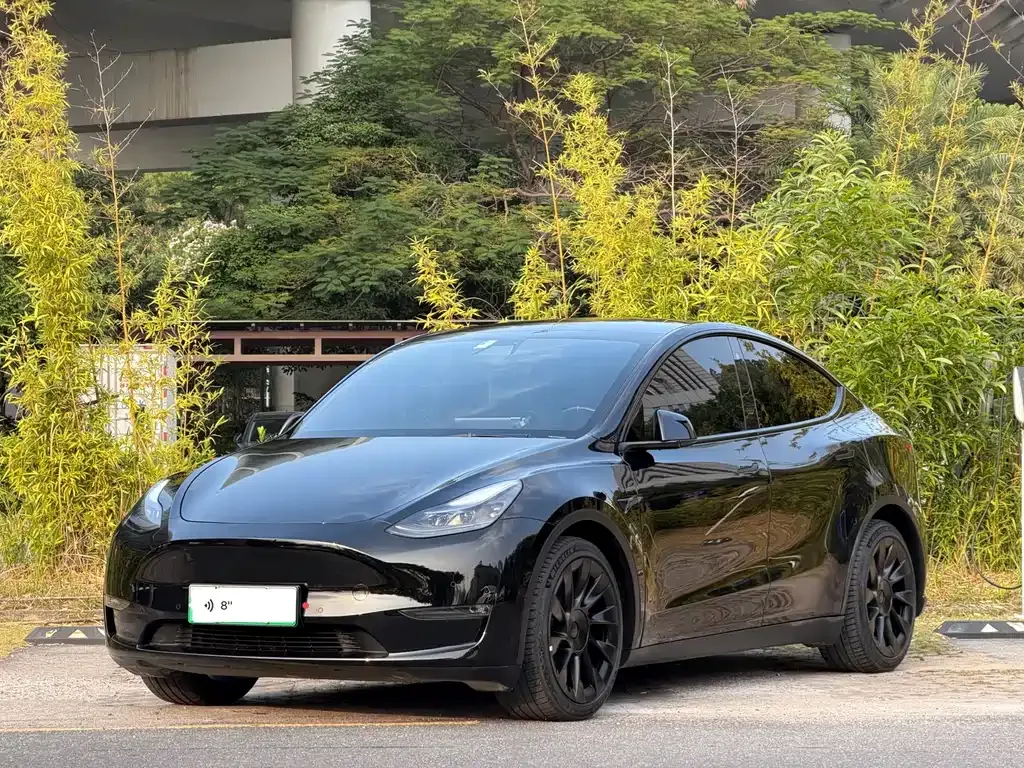 Tesla Model Y 2021 из CN, фото 1