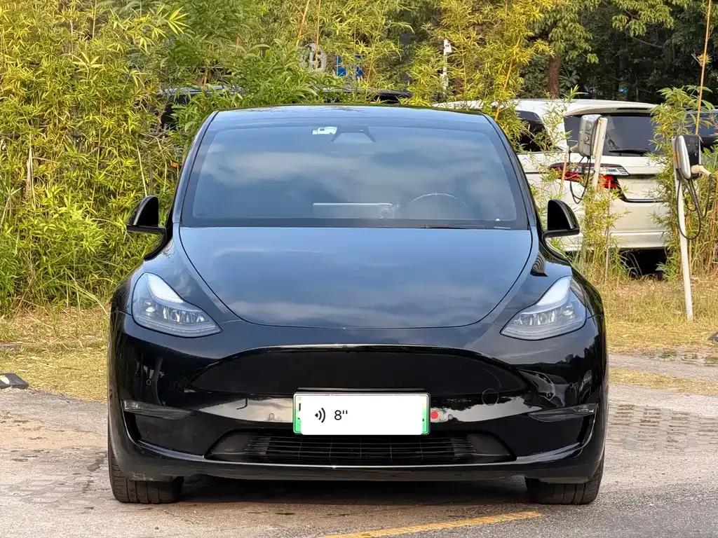 Tesla Model Y 2021 из CN, фото 2