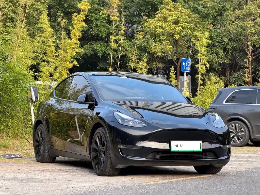 Tesla Model Y 2021 из CN, фото 3