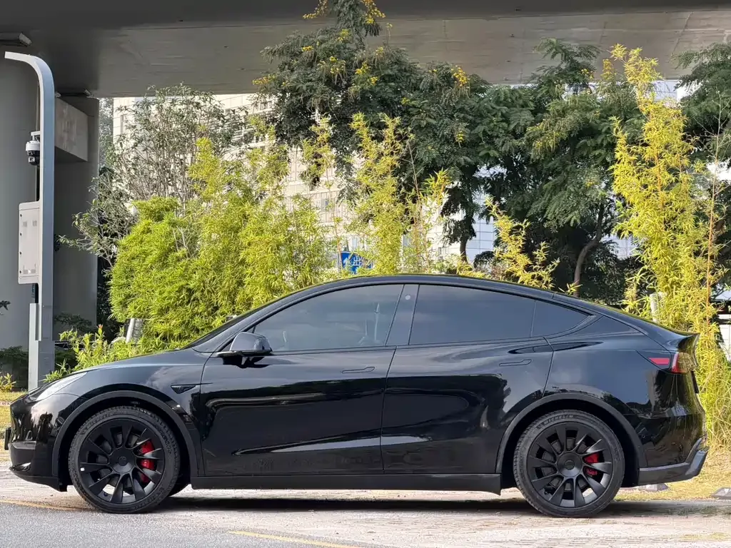 Tesla Model Y 2021 из CN, фото 4