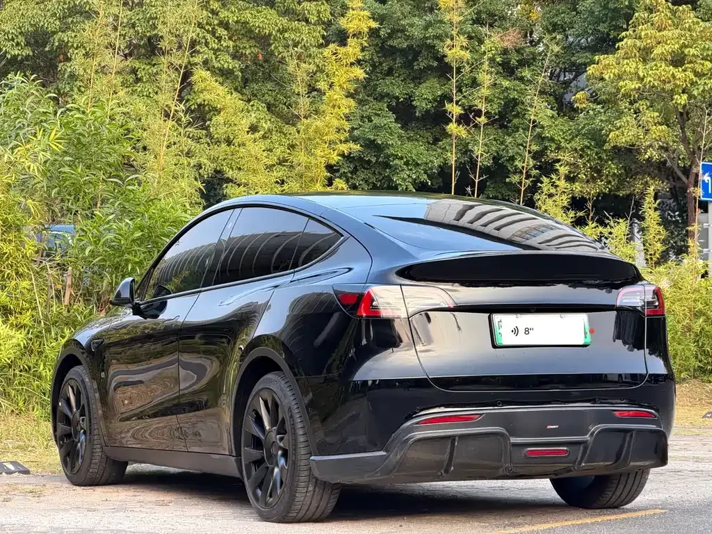 Tesla Model Y 2021 из CN, фото 5