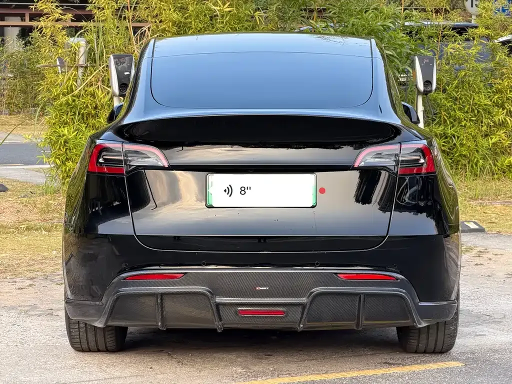 Tesla Model Y 2021 из CN, фото 6