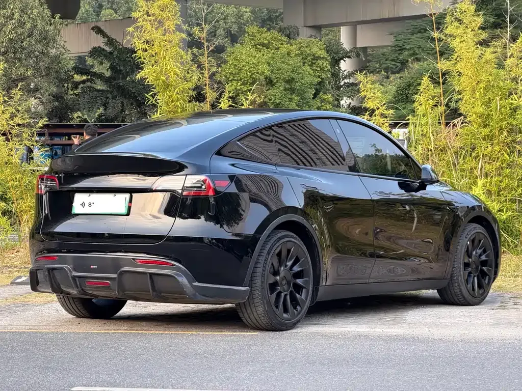 Tesla Model Y 2021 из CN, фото 7