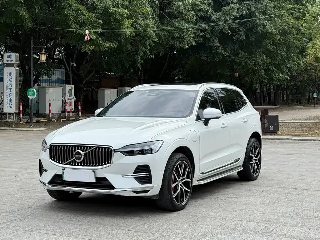 Volvo XC60 PHEV 2021 из CN, фото 1