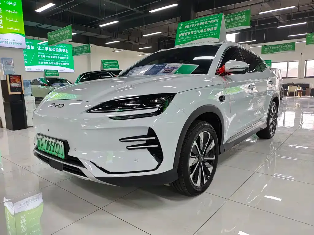 BYD PLUS New Energy 2025 из CN, фото 1