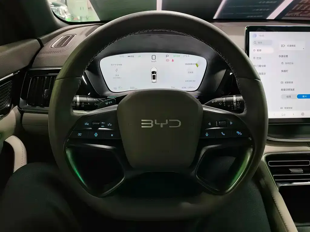 BYD PLUS New Energy 2025 из CN, фото 10