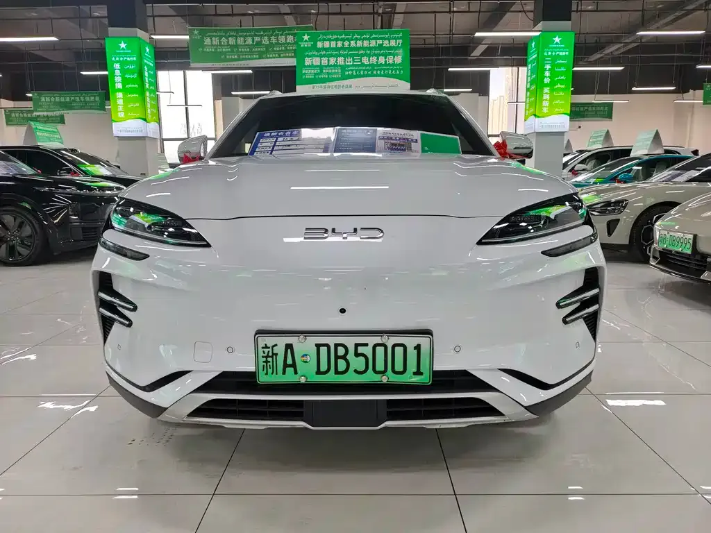 BYD PLUS New Energy 2025 из CN, фото 2