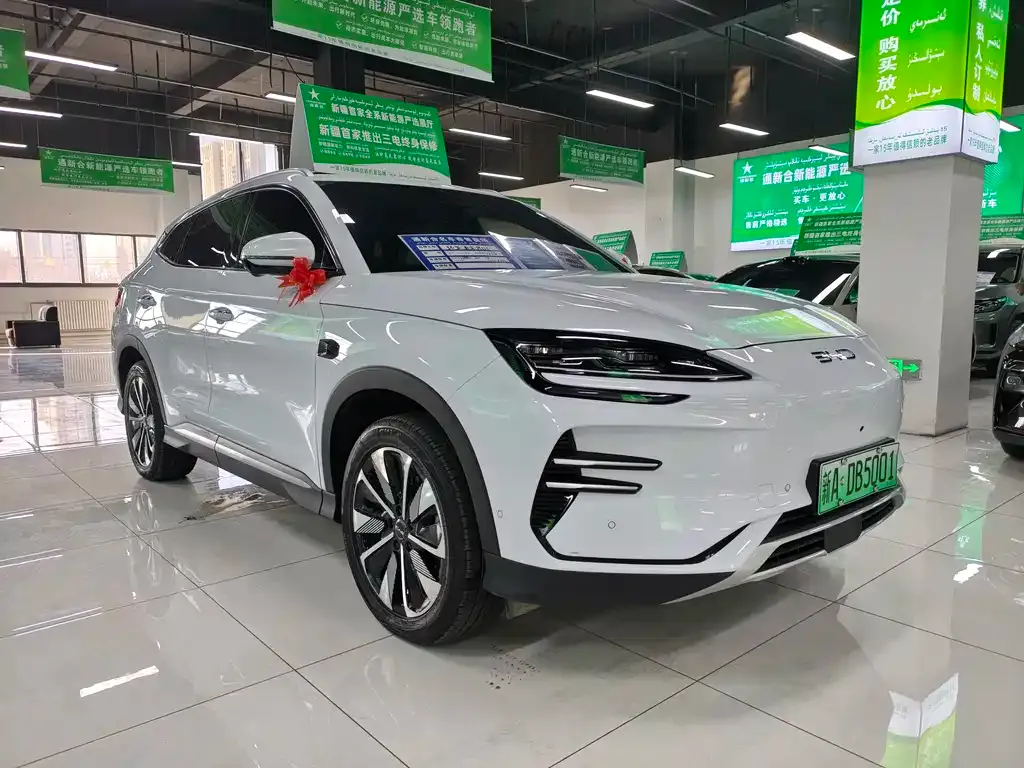 BYD PLUS New Energy 2025 из CN, фото 3