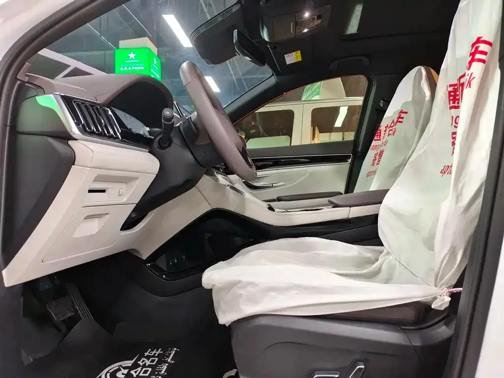 BYD PLUS New Energy 2025 из CN, фото 4