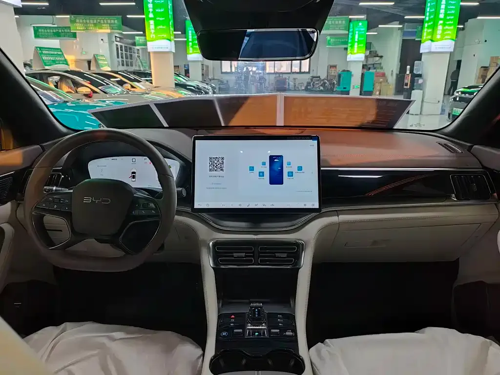 BYD PLUS New Energy 2025 из CN, фото 5