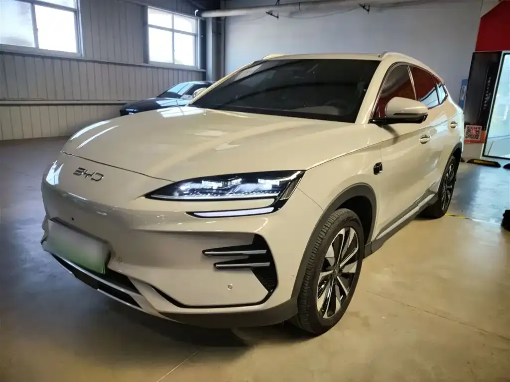 BYD PLUS New Energy 2025 из CN, фото 2