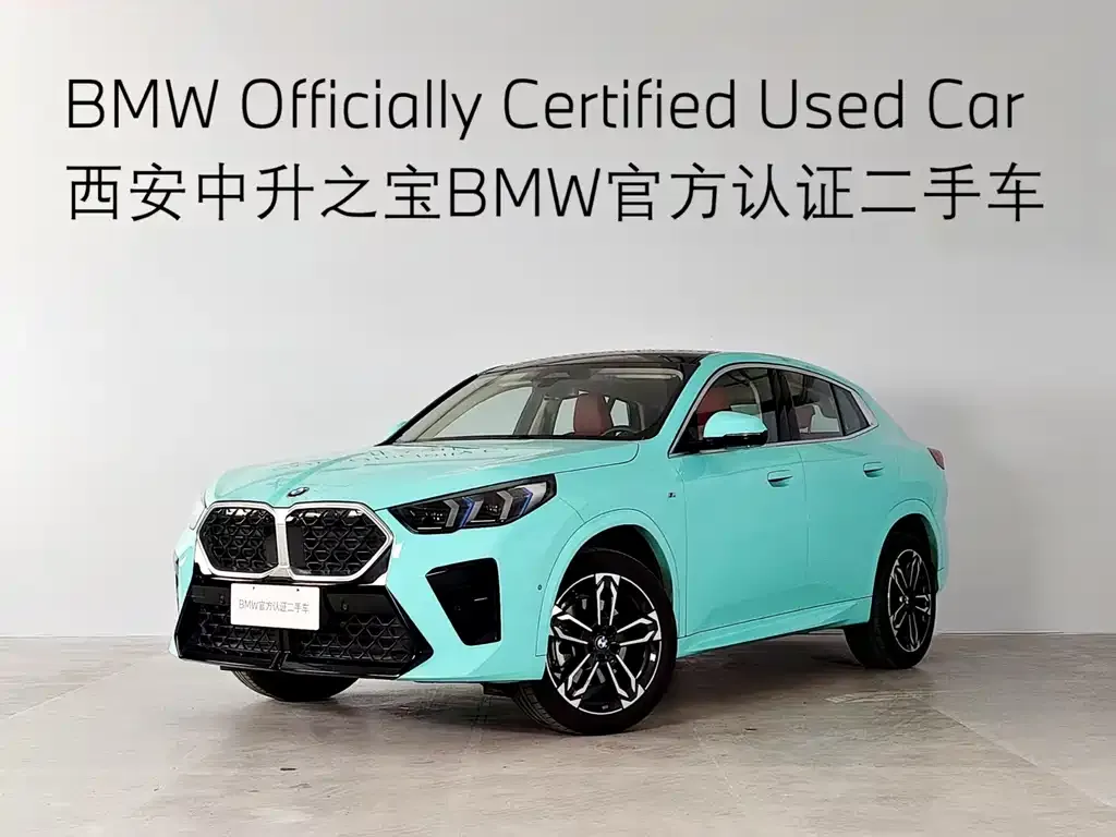 BMW X2 (Import) 2024 из CN, фото 1