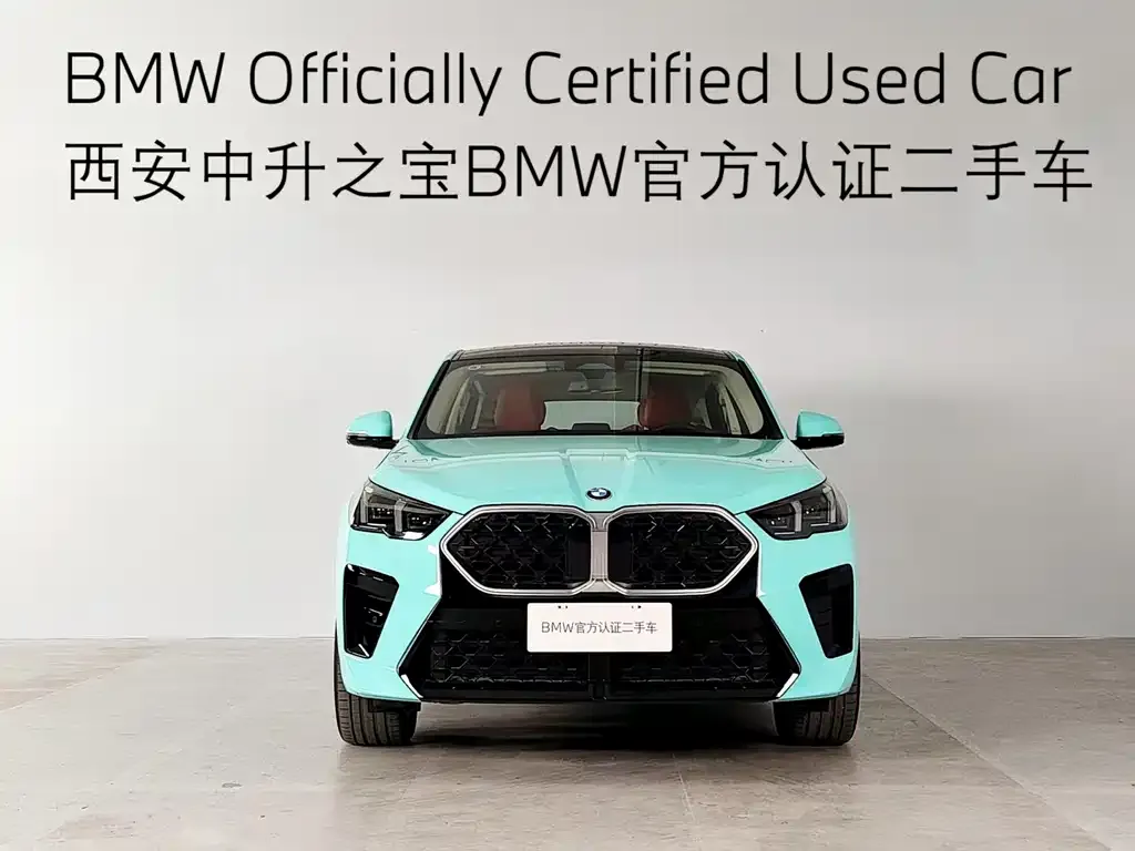 BMW X2 (Import) 2024 из CN, фото 2