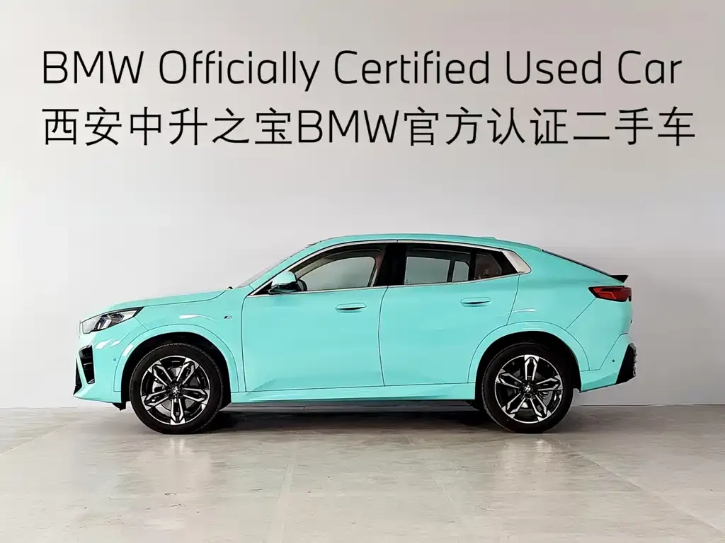 BMW X2 (Import) 2024 из CN, фото 3