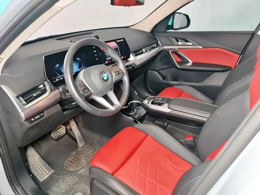 BMW X2 (Import) 2024 из CN, фото 5