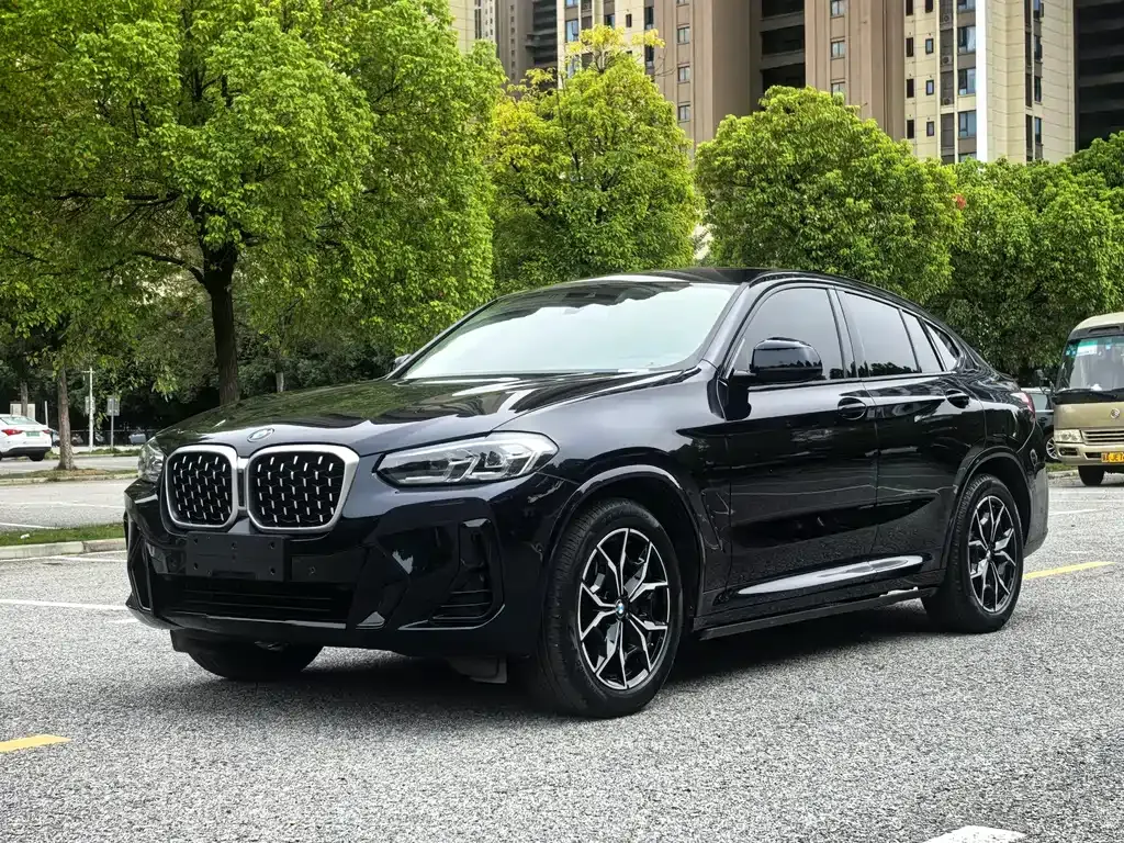BMW X4 2023 из CN, фото 1
