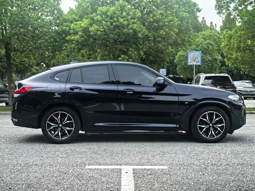 BMW X4 2023 из CN, фото 10