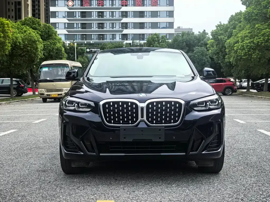 BMW X4 2023 из CN, фото 2