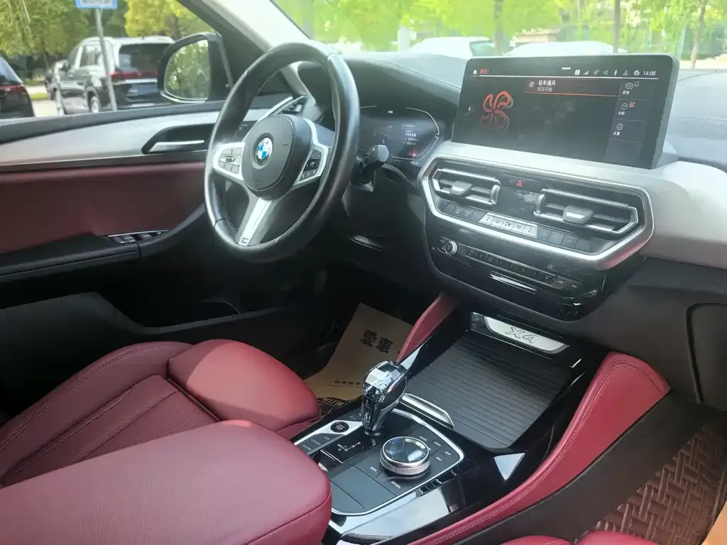 BMW X4 2023 из CN, фото 6