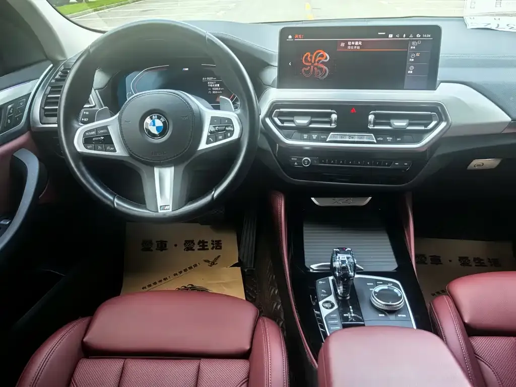 BMW X4 2023 из CN, фото 9