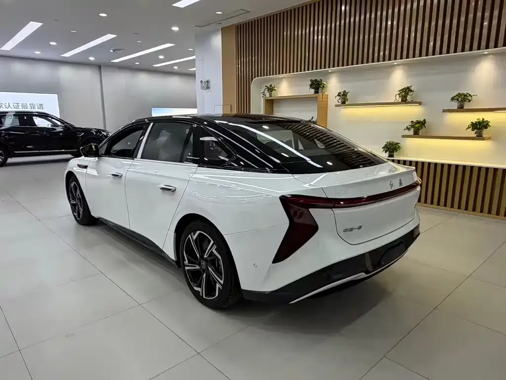 Hongqi EH7 2025 из CN, фото 7