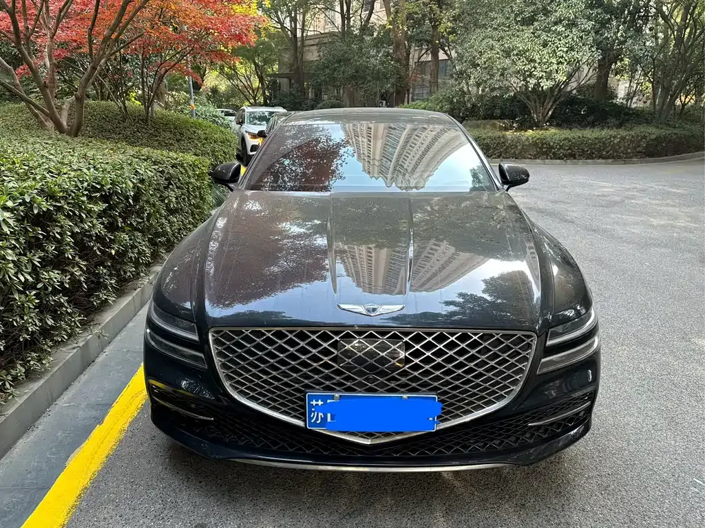 Genesis G80 2023 из CN, фото 2
