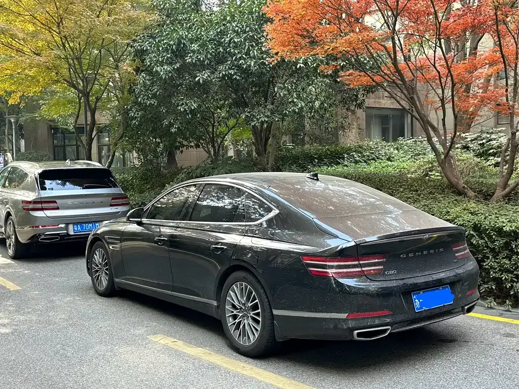 Genesis G80 2023 из CN, фото 4