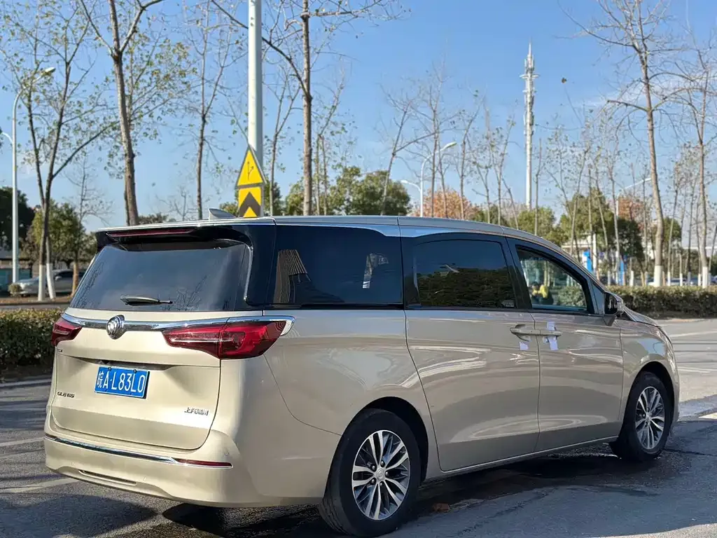 Buick GL8 2021 из CN, фото 7