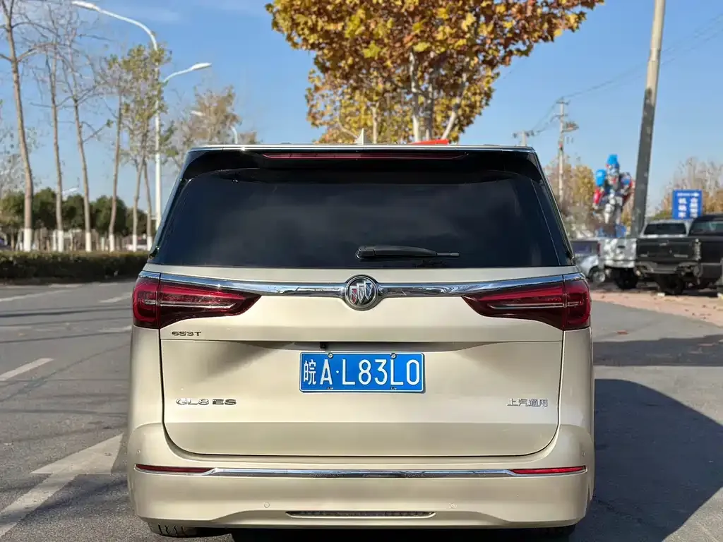 Buick GL8 2021 из CN, фото 8
