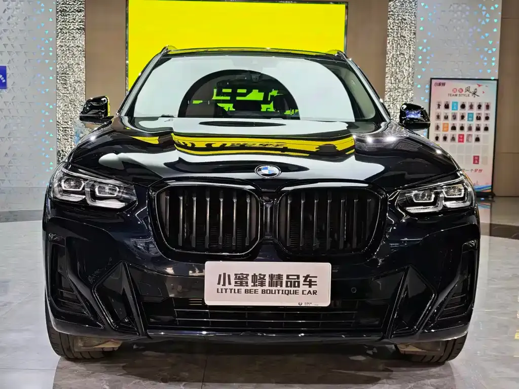 BMW X3 — фото 2