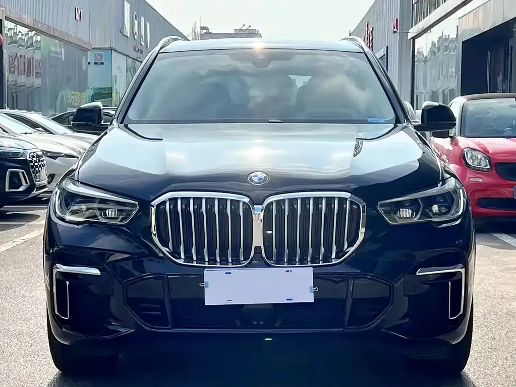 BMW X5 2023 из CN, фото 2